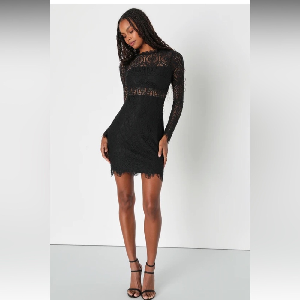 Appetite for Seduction Black Lace Long Sleeve Dress
